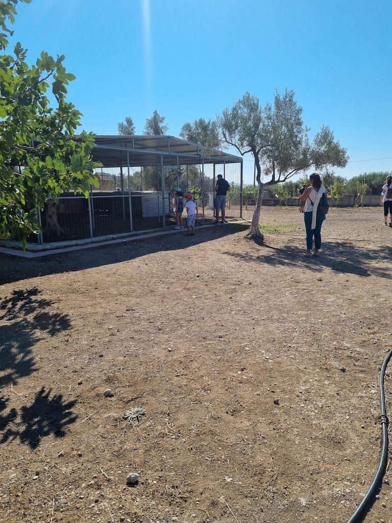 family with child watching deers in the stables at Perivolaki farm
